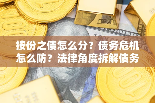 武汉按份之债怎么分？债务危机怎么防？法律角度拆解债务分配与风险自保指南