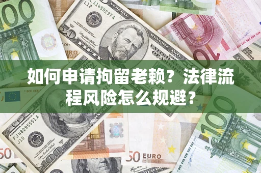 武汉如何申请拘留老赖？法律流程风险怎么规避？