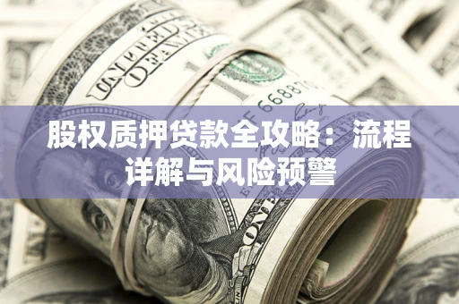 武汉股权质押贷款全攻略：流程详解与风险预警