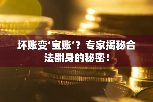 武汉坏账变‘宝账’？专家揭秘合法翻身的秘密！