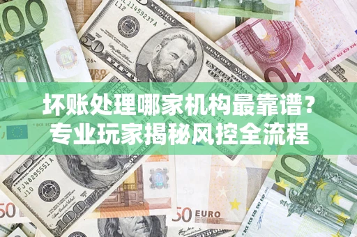 武汉坏账处理哪家机构最靠谱？专业玩家揭秘风控全流程
