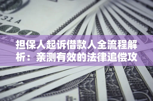 武汉担保人起诉借款人全流程解析：亲测有效的法律追偿攻略