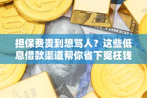 武汉担保费贵到想骂人？这些低息借款渠道帮你省下冤枉钱
