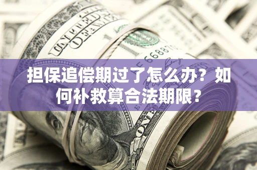 武汉担保追偿期过了怎么办？如何补救算合法期限？