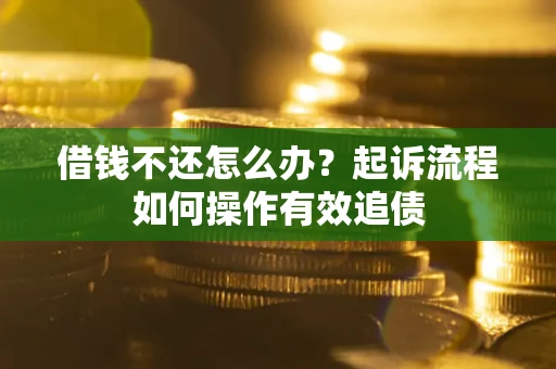 武汉借钱不还怎么办？起诉流程如何操作有效追债