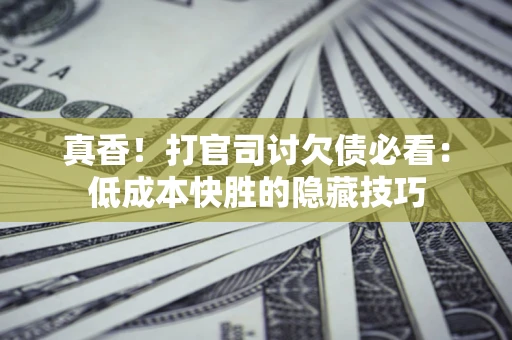 武汉真香！打官司讨欠债必看：低成本快胜的隐藏技巧