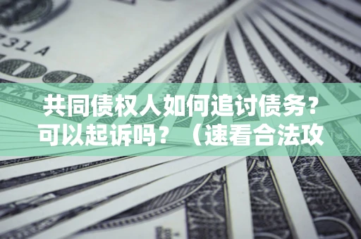 武汉共同债权人如何追讨债务？可以起诉吗？（速看合法攻略）