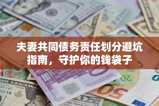 武汉夫妻共同债务责任划分避坑指南，守护你的钱袋子