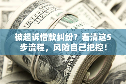 武汉被起诉借款纠纷？看清这5步流程，风险自己把控！