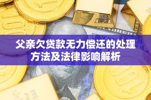 武汉父亲欠贷款无力偿还的处理方法及法律影响解析