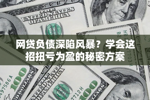武汉网贷负债深陷风暴？学会这招扭亏为盈的秘密方案