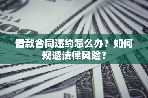武汉借款合同违约怎么办？如何规避法律风险？